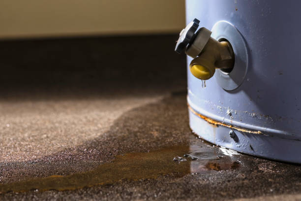 Best Water damage contractors near me  in Rayne, LA