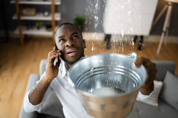  Rayne, LA Water damage restoration Pros