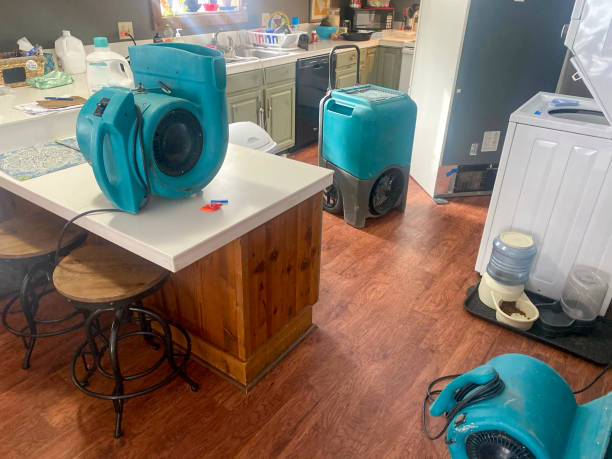 Best 24/7 water damage repair  in Rayne, LA