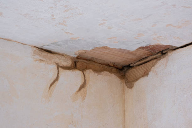 Best Water damage restoration near me  in Rayne, LA