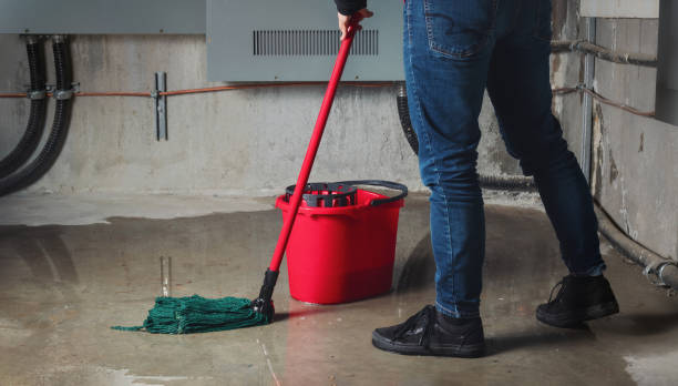Carpet water damage restoration in LA