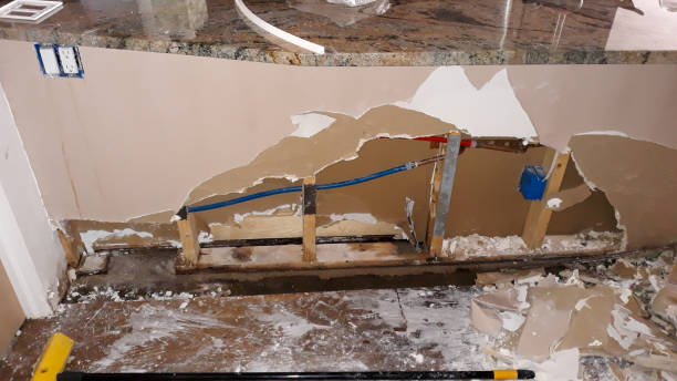 Best Ceiling water damage repair  in Rayne, LA
