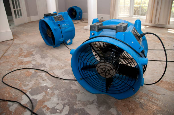 Best Water damage restoration near me  in Rayne, LA