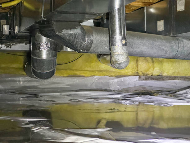 Best Local water damage restoration  in Rayne, LA