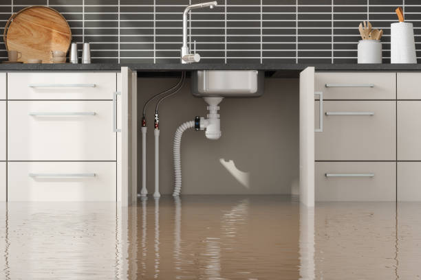 Best Professional water damage repair  in Rayne, LA