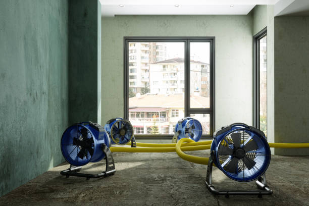 Trusted LA Water damage restoration Experts