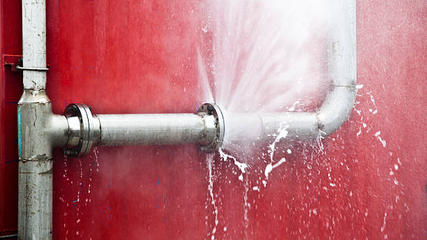 Water damage restoration mold remediation in LA